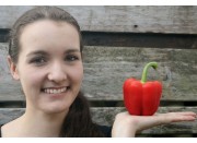 RED CAPSICUM X-LARGE Size Each Whakatane Grown